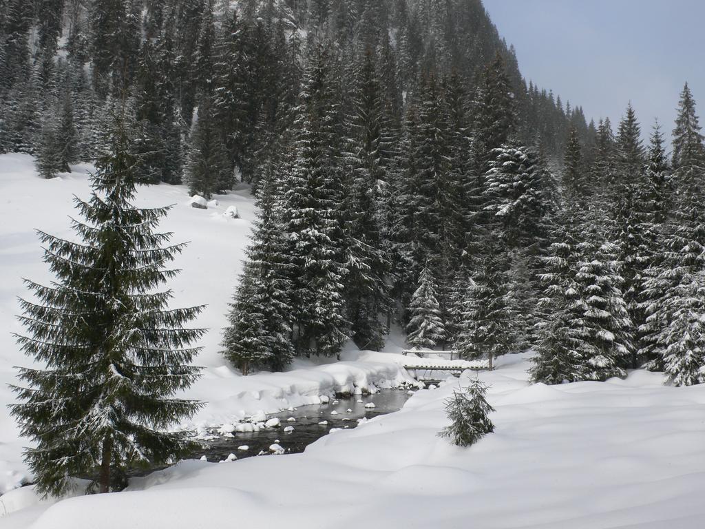 Arnica Montana Ξενοδοχείο Arieşeni Εξωτερικό φωτογραφία