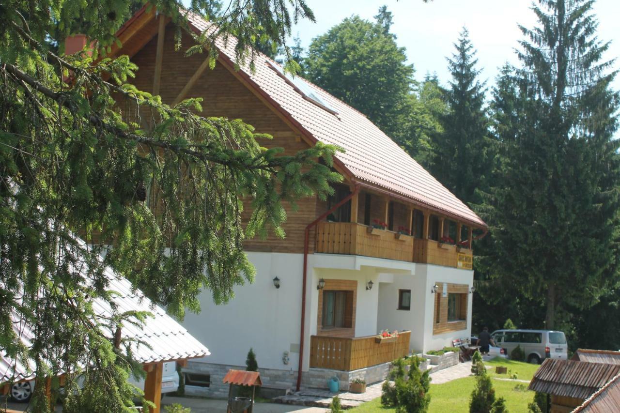 Arnica Montana Ξενοδοχείο Arieşeni Εξωτερικό φωτογραφία