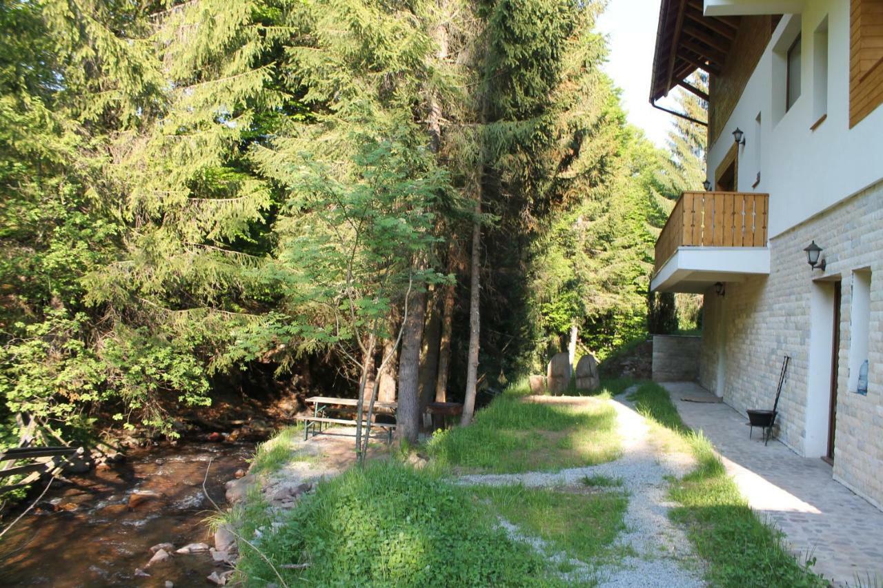 Arnica Montana Ξενοδοχείο Arieşeni Εξωτερικό φωτογραφία