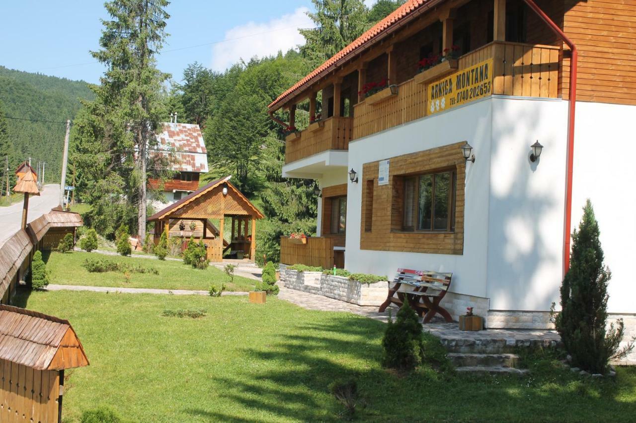Arnica Montana Ξενοδοχείο Arieşeni Εξωτερικό φωτογραφία