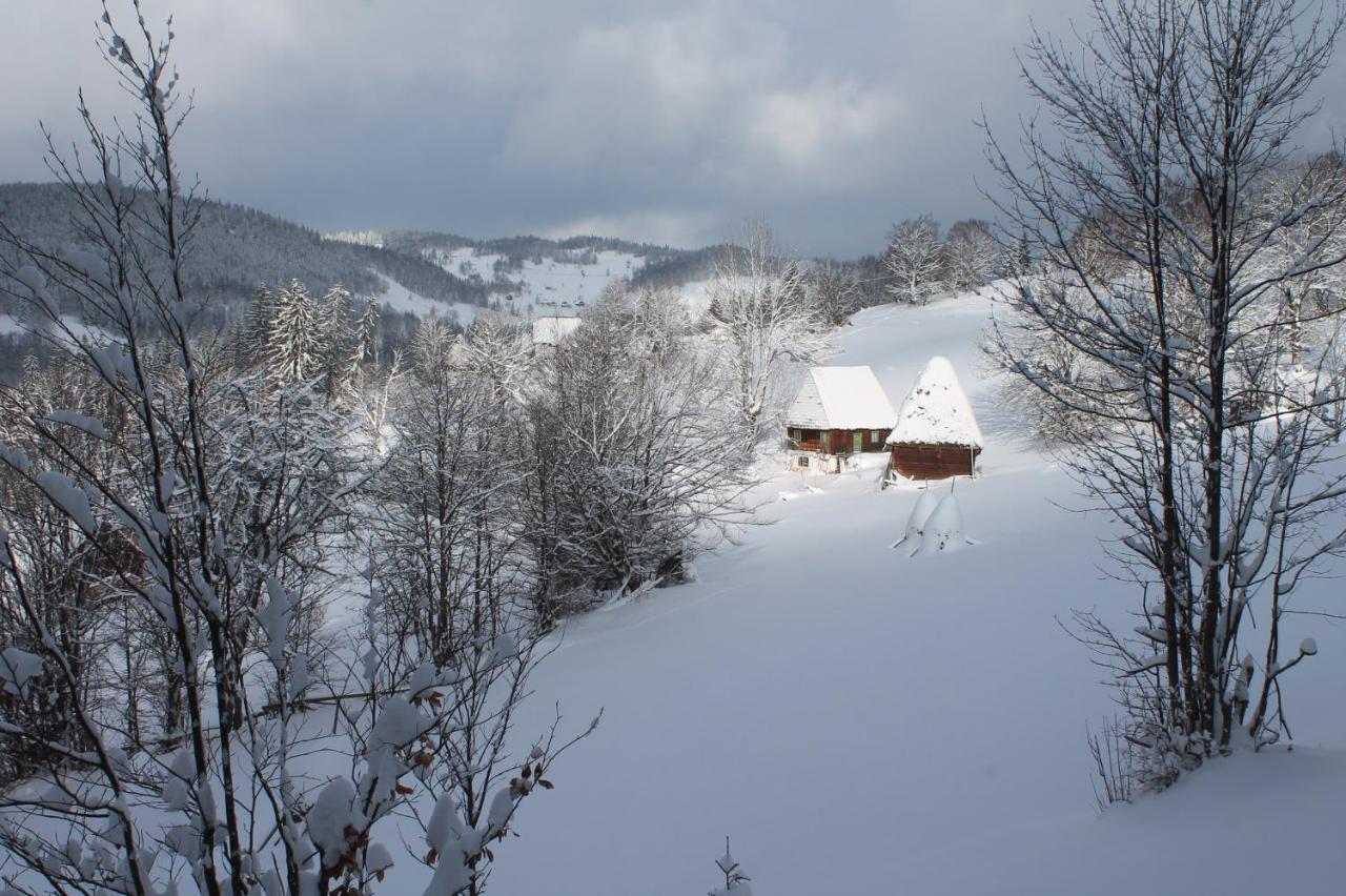 Arnica Montana Ξενοδοχείο Arieşeni Εξωτερικό φωτογραφία